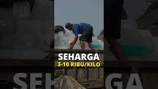 Start Up Ini Olah Sampah Sampai Omsetnya Rp800 Juta