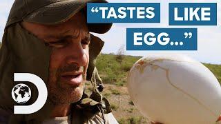 Ed Stafford Cooks An Ostrich Omelette In Wild African Valley  Ed Stafford First Man Out
