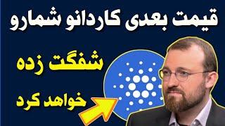 قیمت بعدی کاردانو شمارا شگفت زده خواهد کرد  قیمت کادانو در آینده