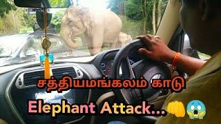 Elephant Attack  Sathyamangalam Forest  SUBSCRIBE OUR CHANNEL  Travel Time
