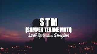 STM SAMPEK TEKANE MATI - LAILA AYU FEAT DELVA IRAWAN  Lirik Video 