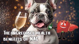 NAC Supplements - for drinkers in 2023. #liverhealth