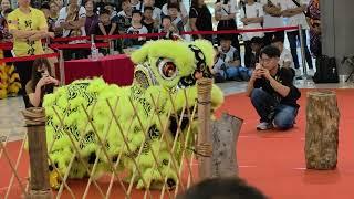 马来西亚传统舞狮锦标赛 首届梳邦杯之狮战辉煌-儿童组 1st Subang Cup Traditional Lion Dance kids   新街場華體 Hua Ti Sungai Besi