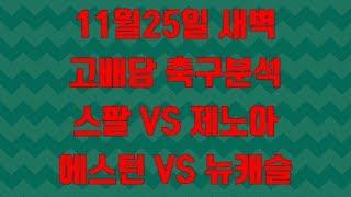 11월25일 스포츠토토 분석픽 고배당 스팔vs제노아 에스턴vs뉴캐슬 축구 정밀분석