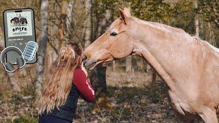 Des poneys en deuil et une cavalière dans langoisse ️ #podcastentrecavalières