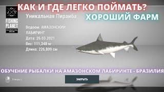 Fishing Planet  КАК И ГДЕ ПОЙМАТЬ УНИКАЛЬНУЮ ПИРАИБУ НА АМАЗОНКЕ? ПОДРОБНЫЙ ГАЙД ПО ЛОВЛЕ ПИРАИБ