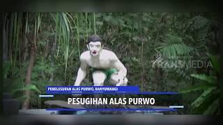 PENELUSURAN ALAS PURWO BANYUWANGI