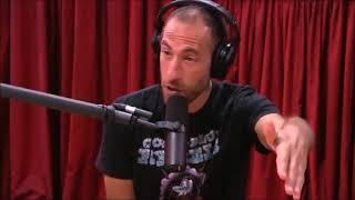 Working the 9-5 Rat Race  Joe Rogan