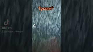 Туман.Завод