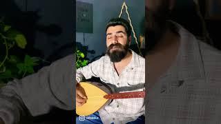 Şeva tarî #music #cover #türkülerimiz #türkü #kürtçe