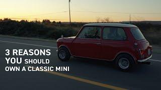 Reasons you Should or Should NOT Own a Mini