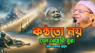 আজিব কণ্ঠ শুনতেই কলিজা ঠান্ডা। নাসির উদ্দিন আনসারী নতুন ওয়াজ। Mufti Nasir Uddin Ansari New waz 2024