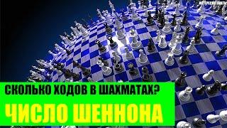 Число Шеннона или сколько разных партий в шахматах