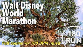 Walt Disney World Marathon - Full Course 4K60 w 180 BPM Running Music