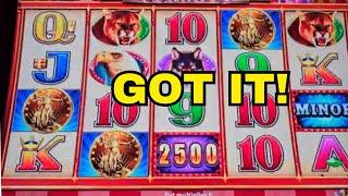 $40 MAX BET BONUS on Buffalo Jackpot Carnival