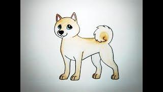 How To Draw Cute Shiba Inu Dog Cartoon Coloring