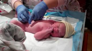 Kendall peeing on nurse when born