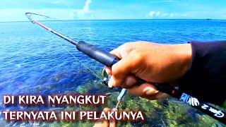 Di spot inilah tempat saya mancing cumi di pinggiran pantai panen strike cumi dalam waktu singkat