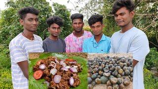 TINY SNAIL  Oomachi  Snail Hunting Cleaning Cooking and Eating in South Indian Village life 1