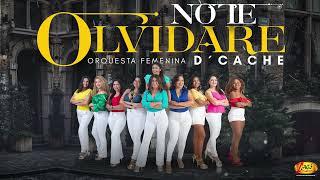 Orquesta Femenina DCaché -   No te olvidare  Audio Oficial