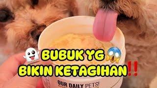 REVIEW OUR DAILY PETS  BOVINE COLOSTRUM POWDER  VITAMIN ANJING KUCING  VITAMIN HEWAN