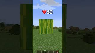 Minecraft Mojang Doesn’t Want You To See This Cursed Melon…