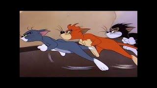 Tom and Jerry Episode 48   Saturday Evening Puss Part 2