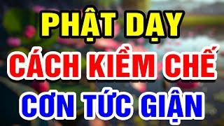 Cách Kiềm Chế Và Chuyển Hóa Tức Giận I Cái Giá Của Sự Tức Giận I Sống Không Giận Dữ  THHT