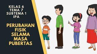 Perubahan Fisik Selama Masa Pubertas  Kelas 6 Tema 7 Subtema 1  IPA