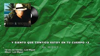 Tal vez me mientes • Luis Miguel  Letra