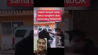 Mandornya kecil tapi pinter nih