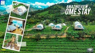 Nature Bubble Glamping Stay  Monticle Glamps  Vagamon - Kerala  4K