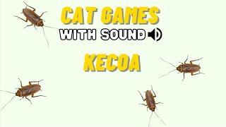 CAT GAMES - KECOA MAINAN KUCING CATCHING COCKROACH FULL 30 MENIT