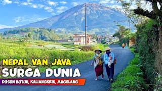 HEAVEN ON EARTH  NATURAL VIEW OF NEPALS VAN JAVA VILLAGE ON MOUNT SUMBING - INDONESIA