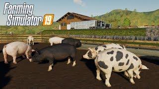 FS19  #3 CERDOS para la Granja