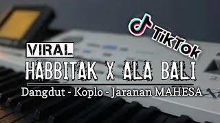 VIRAL Tik Tok  HABBITAK X ALA BALI  ORG 2023