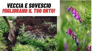 Il SOVESCIO con la VECCIA poco sforzo e tanti vantaggi - W&A Gardens giardinaggio ed orticoltura