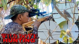 P1 - WiLD DoVE HuNTiNG catch&cook