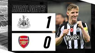 Newcastle United 1 Arsenal 0  Premier League Highlights