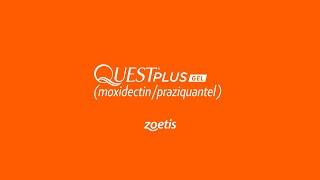 Quest Plus Gel from Zoetis