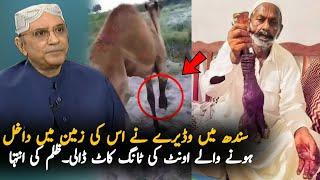 What Happen In Sindh During These Eid Days  Bakra Eid 2024  Eid Latest Video 2024