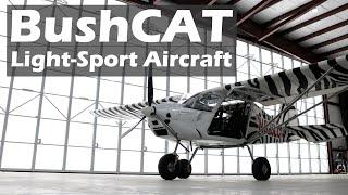 An Easy to Build Bushplane Bushcat Aircraft - Oshkosh 2023