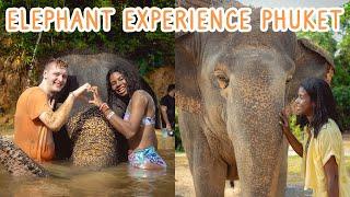 Elephant Jungle Sanctuary Phuket