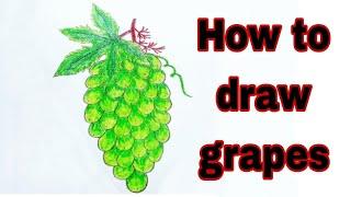 How to draw grapes step by step Grapes drawing  How To Draw Grapes Step By Step  আঙ্গুর আঁকা