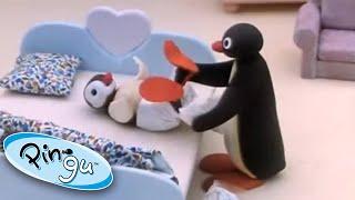 Pingu the Babysitter @Pingu - Official Channel Cartoons For Kids