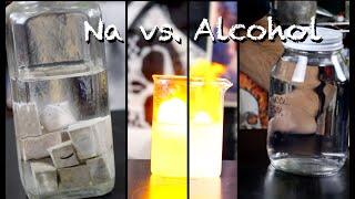 Sodium Metal vs. Alcohol vs. Water