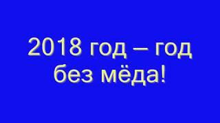 Пчеловодство. 2018 год — год без мёда