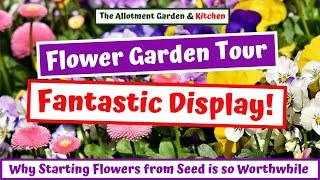 Summer Flower Garden Tour - Why Growing Flowers from Seed is so Worth it #127