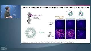 The Coming of Age of De Novo Protein Design