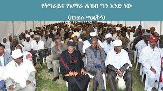 Ethiopia የትግራይና የአማራ ሕዝብ ግን አንድ ነው  በኃይሉ ሚዴቅሳ